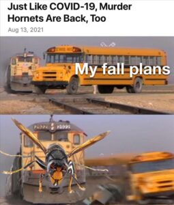 Stupid Bar Memes whensyousseesitscomingsback