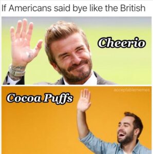 Stupid Bar Memes yourscereal