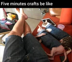 Stupid Bar Memes yousdoingscrafts
