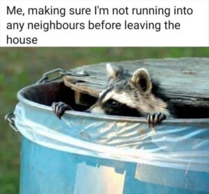 Stupid Bar Memes yyys1