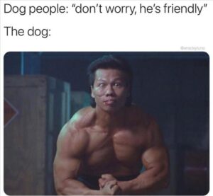 Stupid Bar Memes yzs3s9