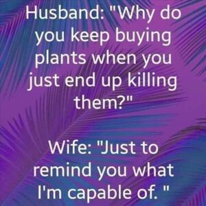 Stupid Bar Memes yzs5s7