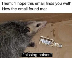 Stupid Bar Memes z memes 2 5