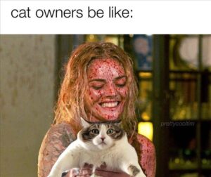 Stupid Bar Memes z memes 23 13