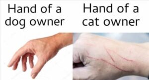 Stupid Bar Memes zsmemess23s8