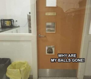 Stupid Bar Memes zsmemess27s8