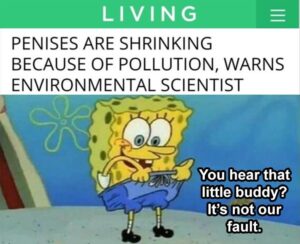Stupid Bar Memes zsmemess7s8