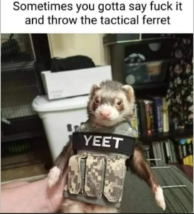 Stupid Bar Memes 1255c68f6258ce8a