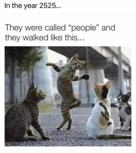 Stupid Bar Memes 13920b1bfa940a1d