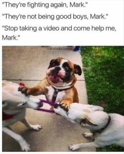 Stupid Bar Memes 2s50