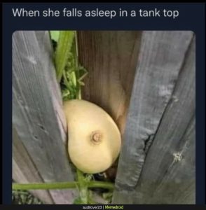 Stupid Bar Memes 3ac8526299fbe777