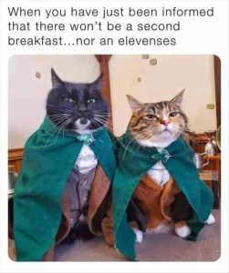 Stupid Bar Memes 5s10