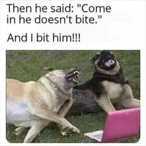 Stupid Bar Memes 5s47