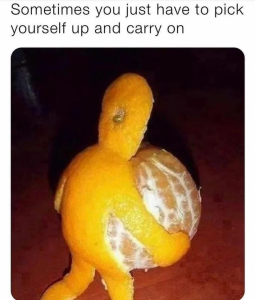 Stupid Bar Memes 62c6e3e04e795