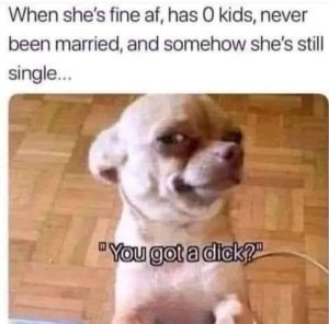 Stupid Bar Memes 67feda43631f8c2b