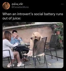 Stupid Bar Memes 795b404f62160b8e