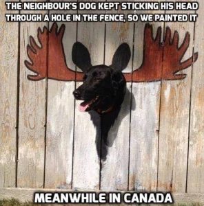 Stupid Bar Memes 99885bce60007aba