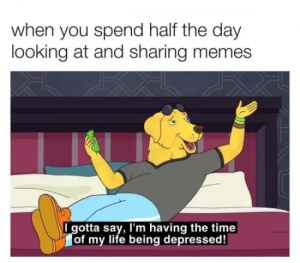 Stupid Bar Memes KSODHde
