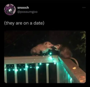 Stupid Bar Memes X6F3KWc
