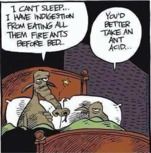 Stupid Bar Memes acec36c70d13378a