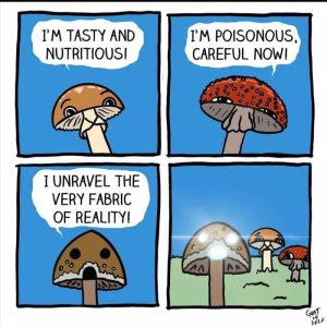 Stupid Bar Memes aggwoMgs700b