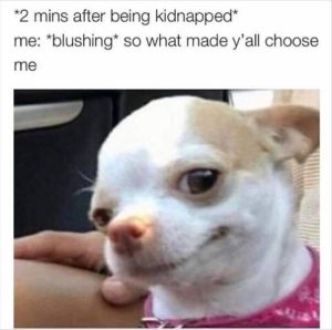 Stupid Bar Memes choosesme