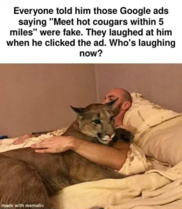 Stupid Bar Memes wTXC2Lq
