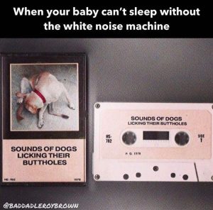 Stupid Bar Memes zsss79