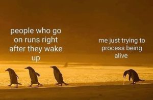 Stupid Bar Memes 062d130c95b3a654