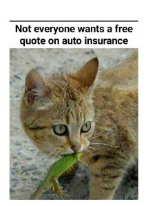 Stupid Bar Memes 092f06f8ee902843