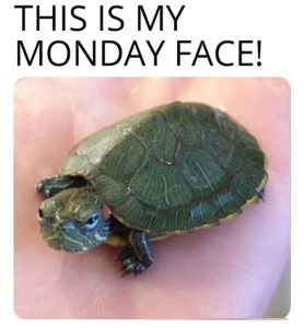 Stupid Bar Memes 0da49cb44cb5e9b5