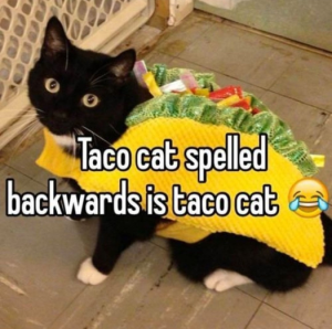 Stupid Bar Memes 0f2f5e6cd19ba2a9