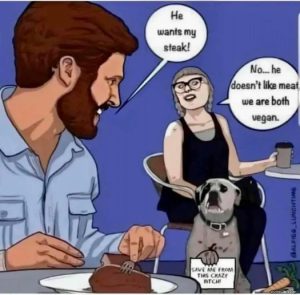 Stupid Bar Memes 13f3ae2a0d32cd82
