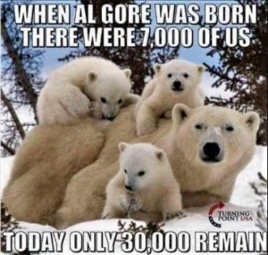 Stupid Bar Memes 1431e83f58f393e5