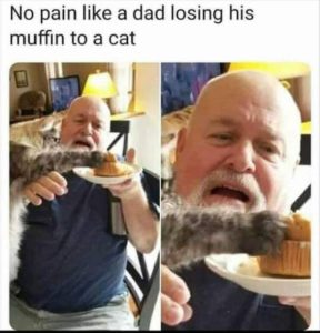 Stupid Bar Memes 1665500594sfns21
