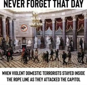 Stupid Bar Memes 1919105af0c4e628