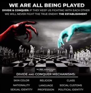 Stupid Bar Memes 1c8db5f77f41164c