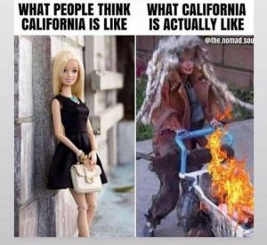 Stupid Bar Memes 2132ac942a0eb7fb