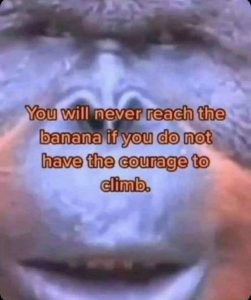 Stupid Bar Memes 218d9b5094de6d7c