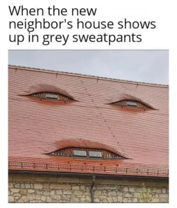 Stupid Bar Memes 246212326stupid583820223049841stupid2654726561474162617stupidn