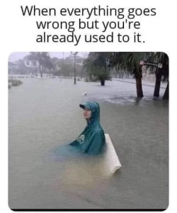Stupid Bar Memes 2e0e6c1412c7d955