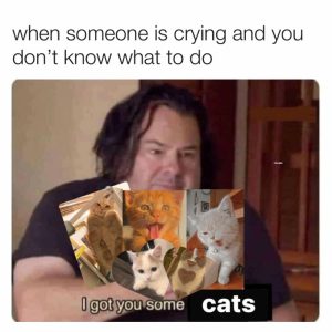 Stupid Bar Memes 33b22af1f44c25fd