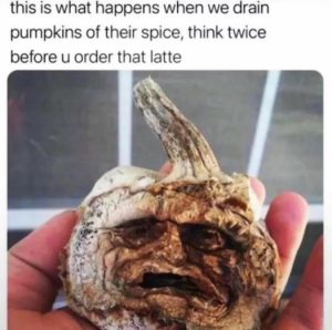 Stupid Bar Memes 39ce4cbbeaa31b7b