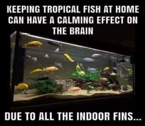 Stupid Bar Memes 3aa87395335d6b68