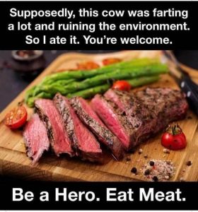 Stupid Bar Memes 3f5dcf37e9bd9e10