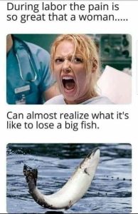 Stupid Bar Memes 429cb77a6b6a7f46