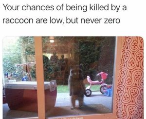 Stupid Bar Memes 46538baa0e6bec54