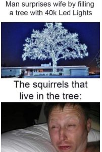 Stupid Bar Memes 465a1d6794bd9eb2