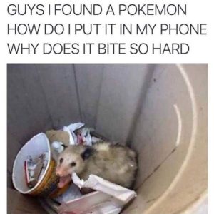 Stupid Bar Memes 48955ed07889836b