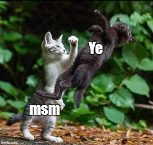 Stupid Bar Memes 50e3ec4608427533